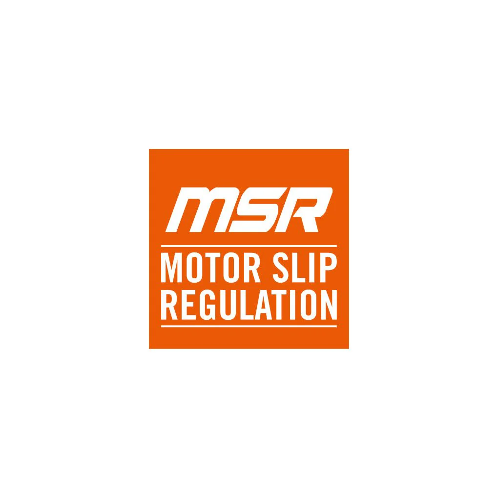 MOTOR SLIP REGULATION